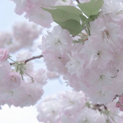 岚县FurryQQ群介绍